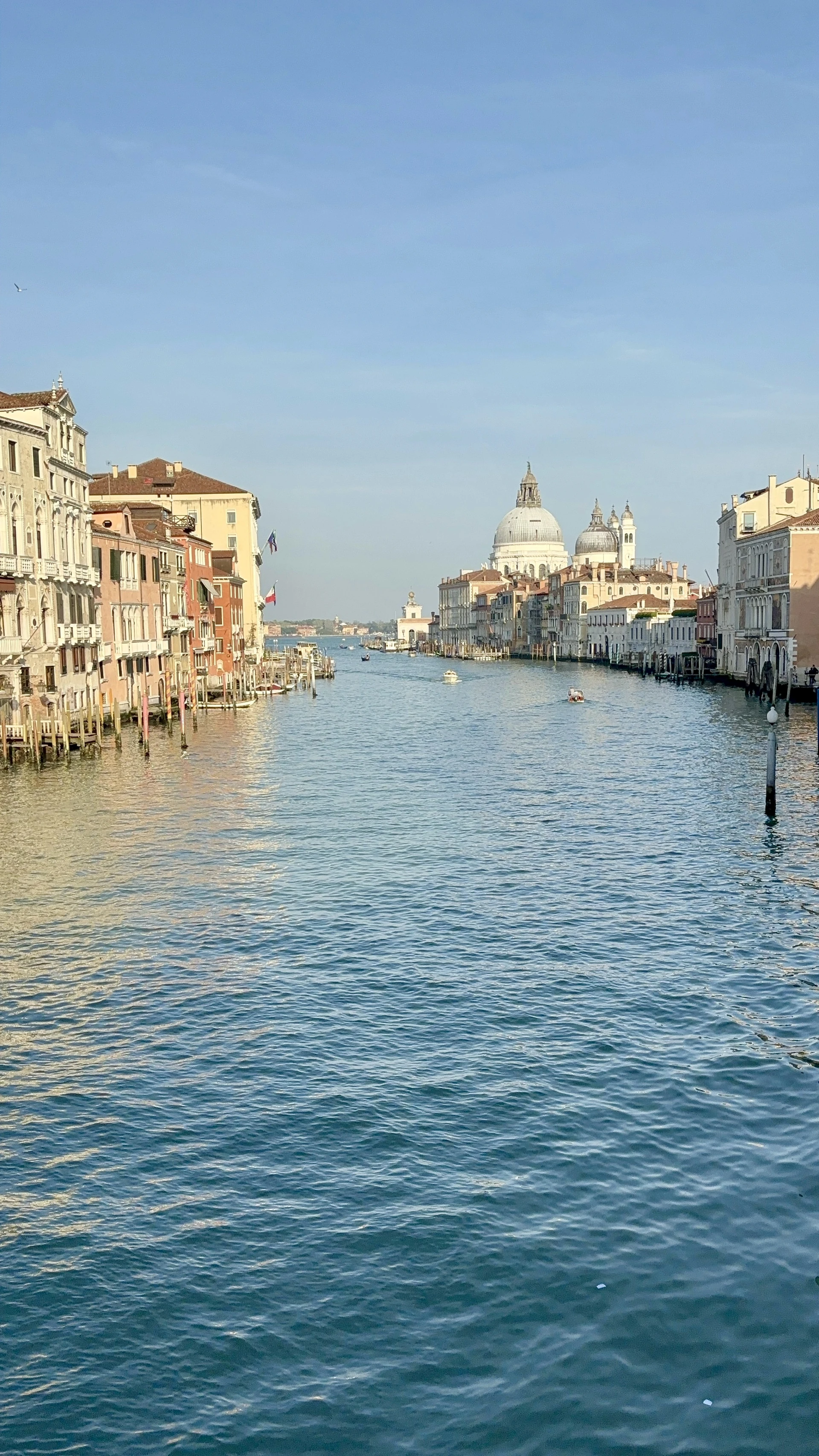 Grand Canal boat traffic and historical facades from Ponte dell'Accademia