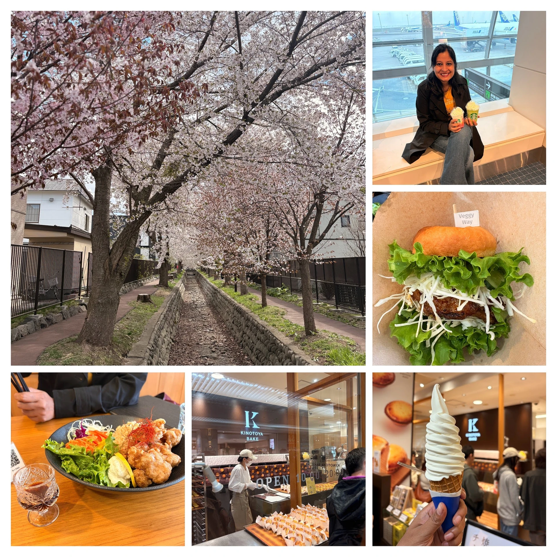 Day 1 collage — Starbucks Sakura Strawberry Latte and Matcha Latte at Haneda, late-bloom sakura in Sapporo, lunch at Holistic Bio Café, Kintoya Bake cheese tarts, Hokkaido soft-serve from Pole Town