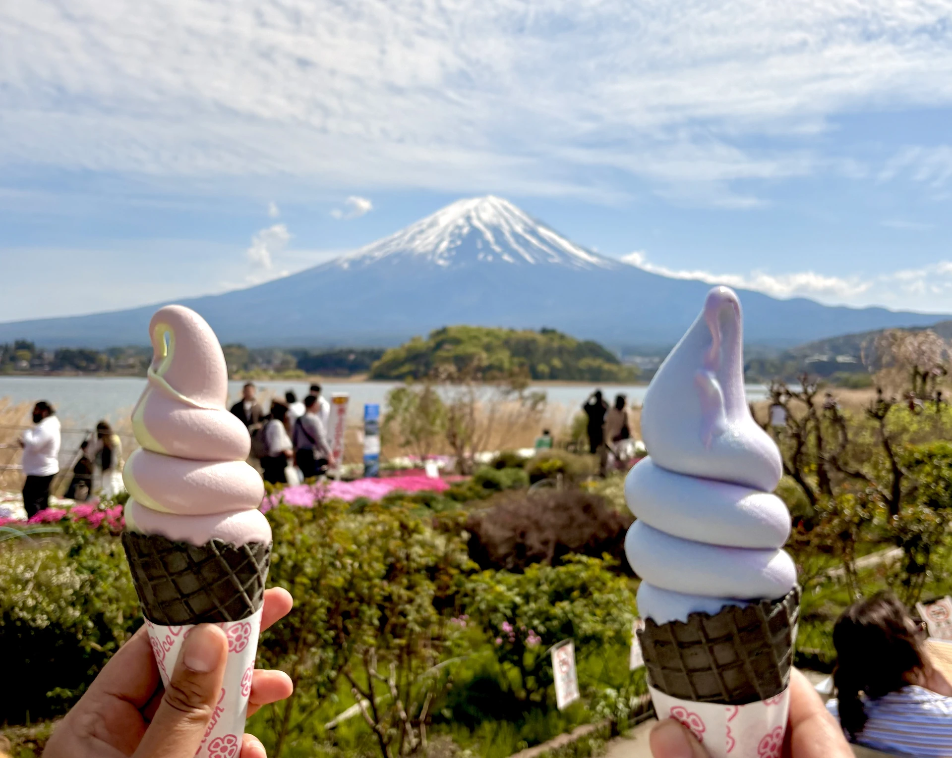 Day 3 Mt Fuji