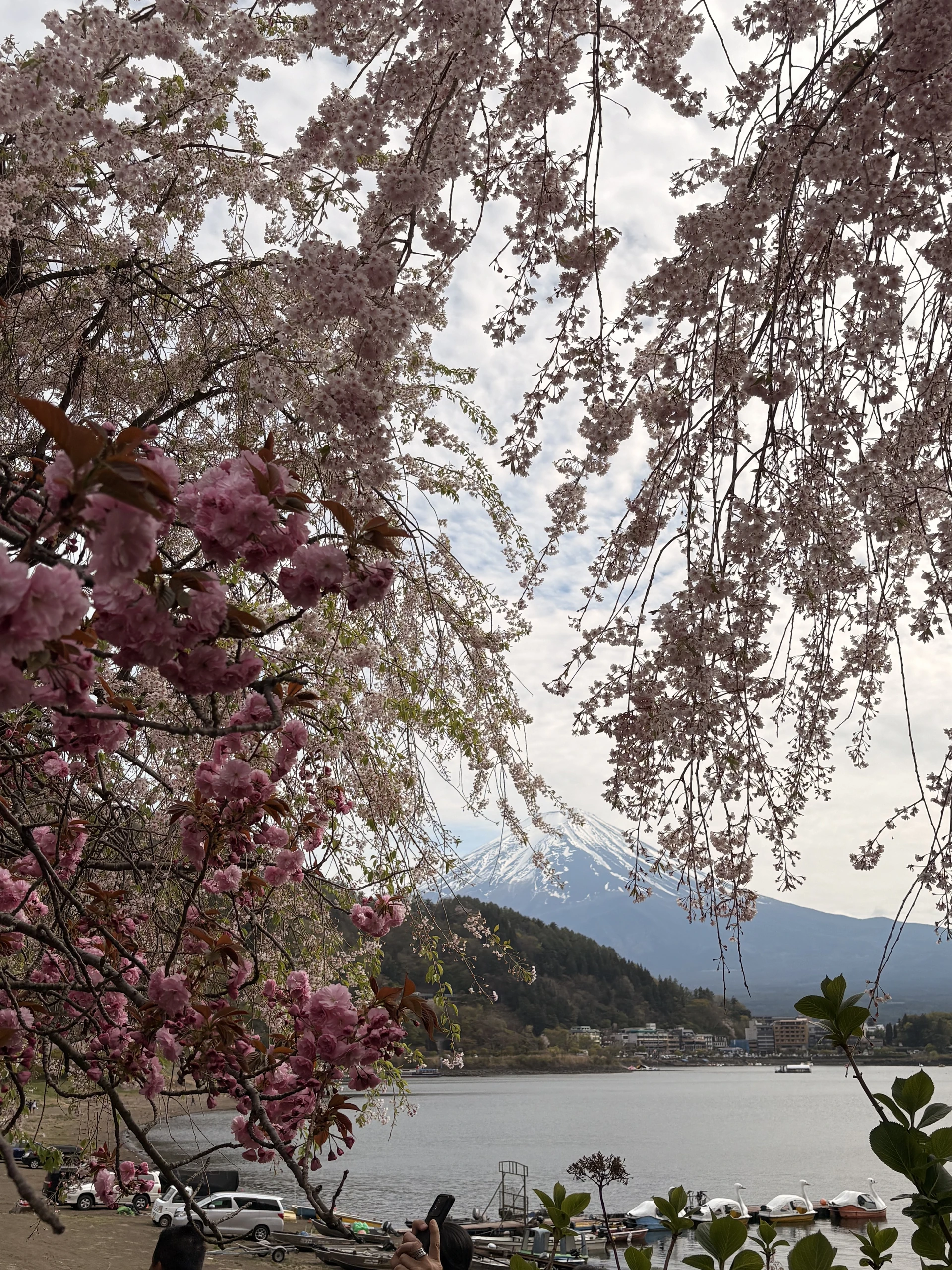 Day 3 Mt Fuji
