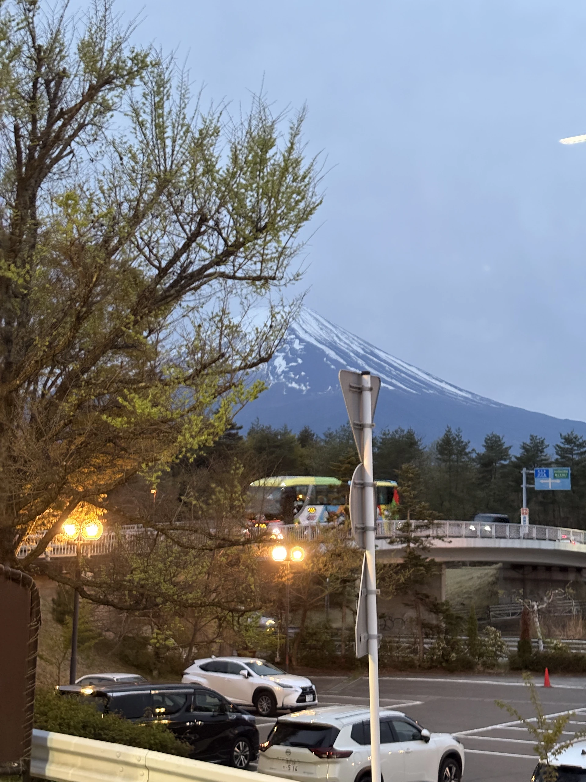 Day 3 Mt Fuji