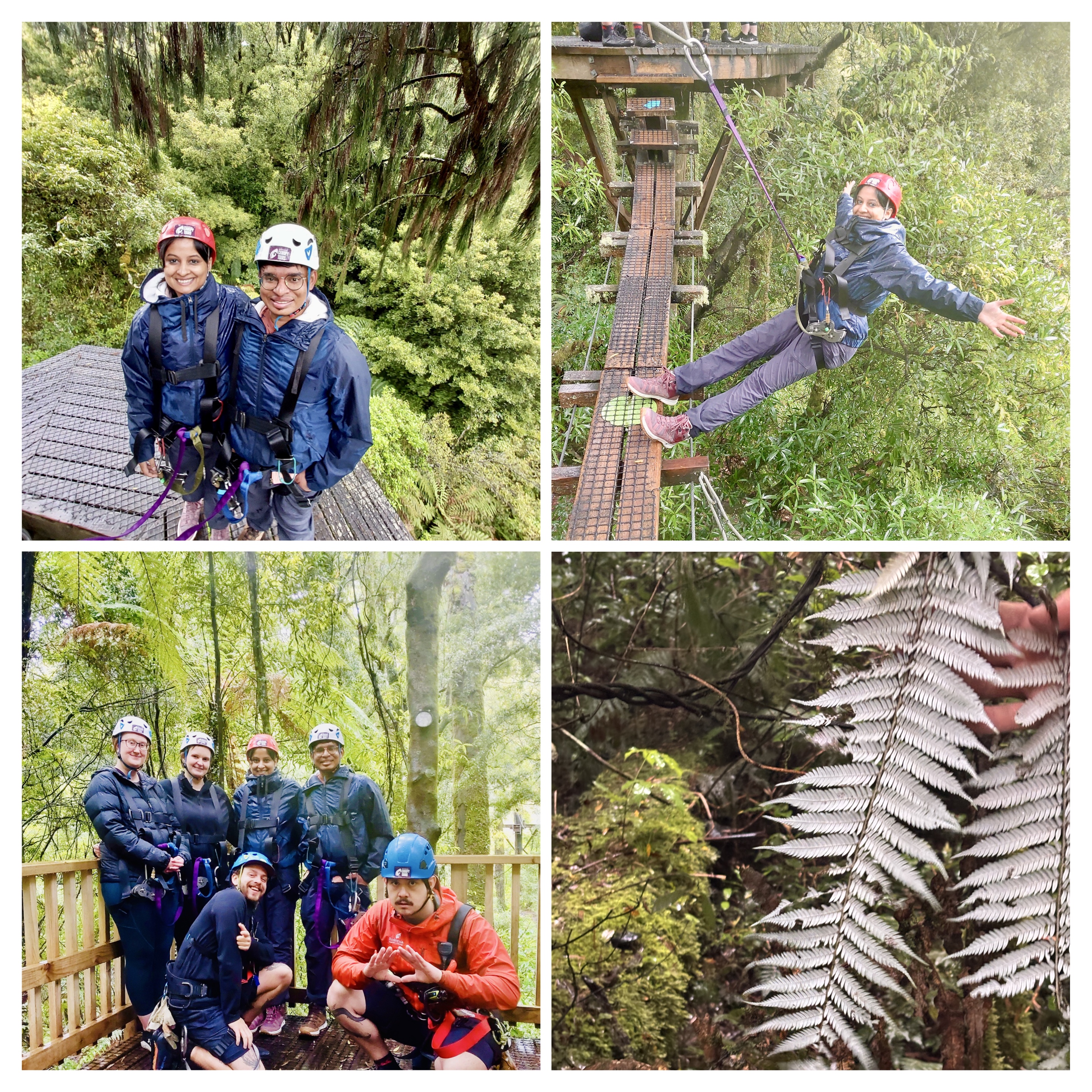 Walking along high suspension bridges on the Rotorua Canopy Tour