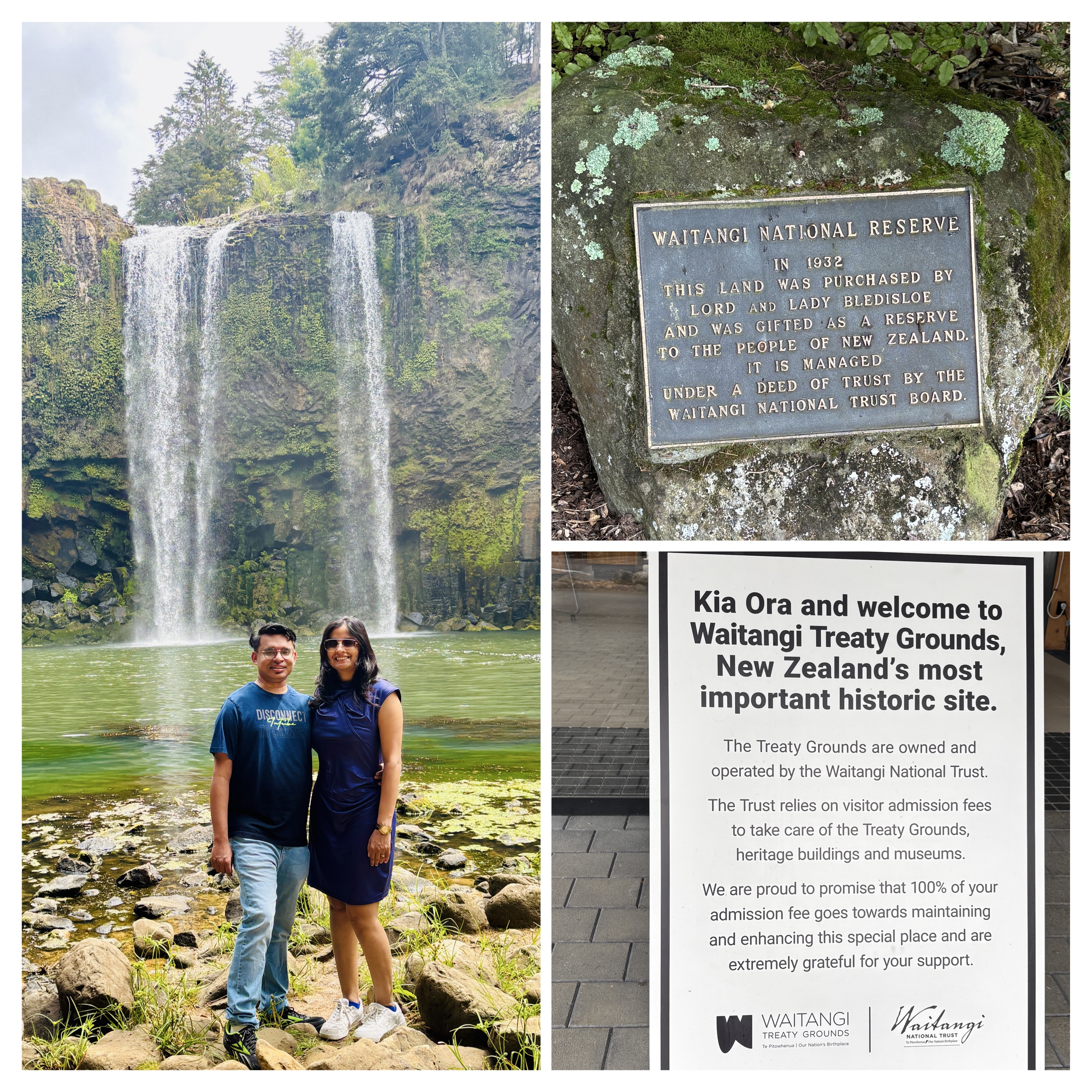 Lush greenery and Whangarei Falls cascade