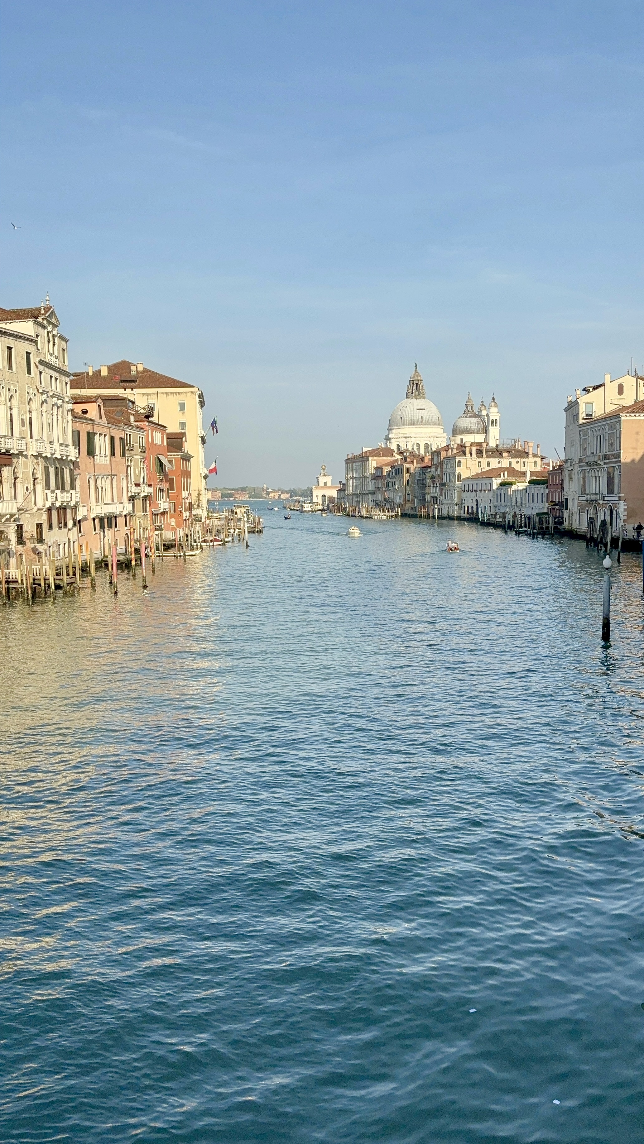 Grand Canal boat traffic and historical facades from Ponte dell'Accademia