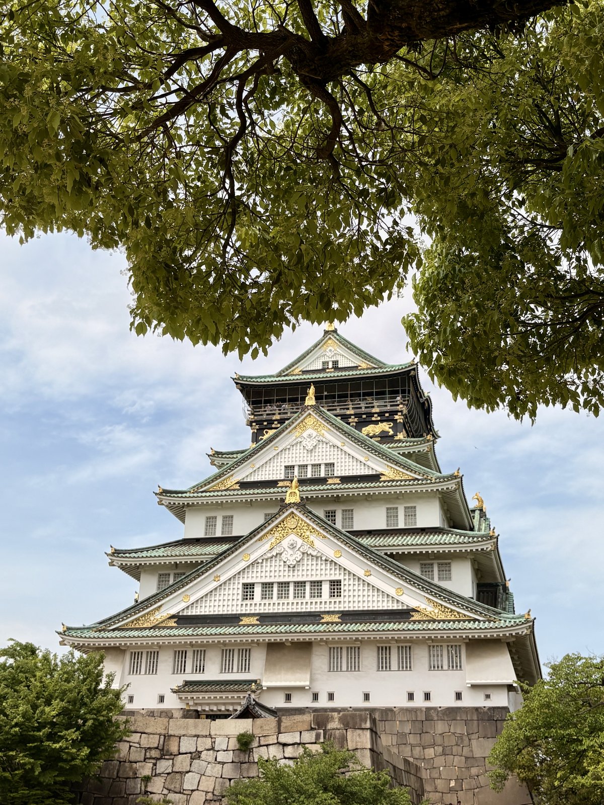 Osaka Castle framed by spring tree branches