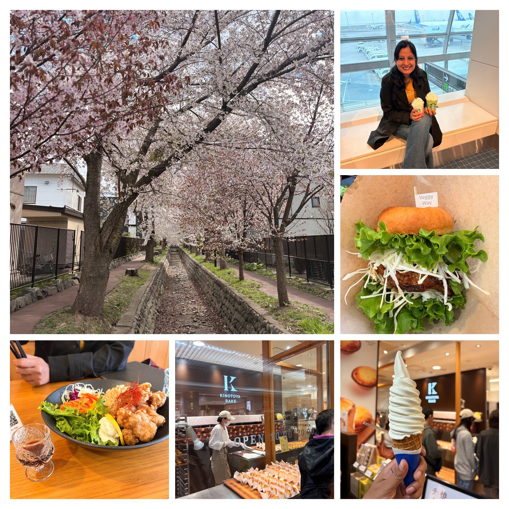 Day 1 collage — Starbucks Sakura Strawberry Latte and Matcha Latte at Haneda, late-bloom sakura in Sapporo, lunch at Holistic Bio Café, Kintoya Bake cheese tarts, Hokkaido soft-serve from Pole Town